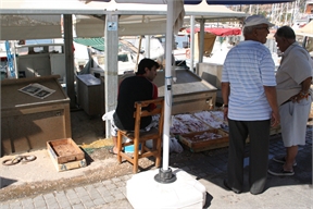 IMG_8210